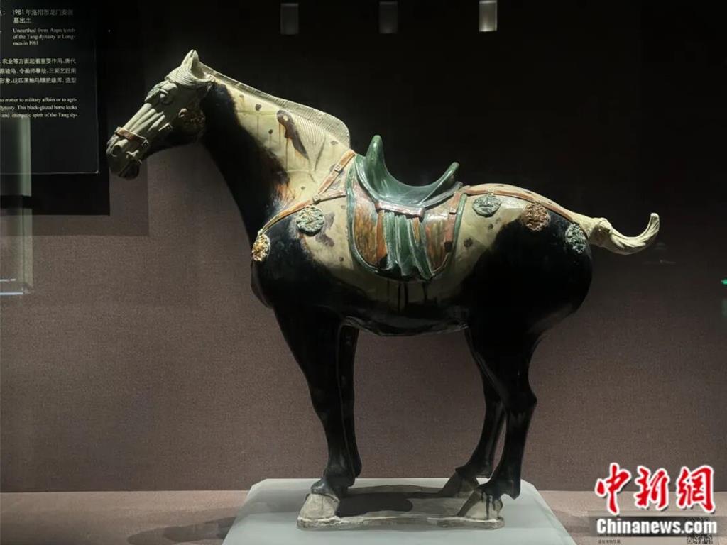 安菩是誰 隨葬洛陽唐三彩黑釉馬見證盛唐千年絲路。圖為安菩夫婦墓出土三彩黑釉馬。（中新社）