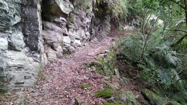 男子登山求助AI惨遭“鬼打墙” 回应让他傻眼 男子登山求助AI惨遭“鬼打墙” 回应让他傻眼