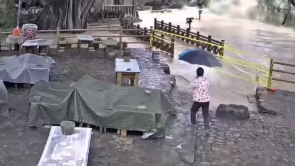 太可惜!福建云水谣600多年古榕树被洪水冲倒
